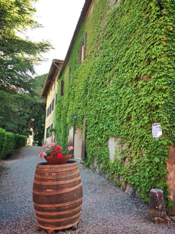 Castel Di Pugna Winery *