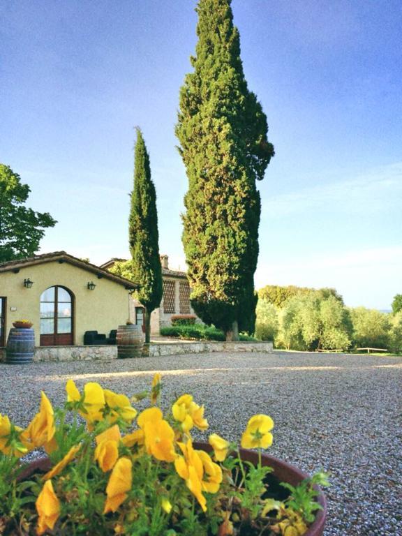 Castel Di Pugna Winery Country house