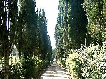 Castel Di Pugna Winery *
